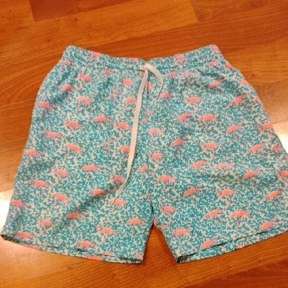 Chubbies Blue and Pink Athletic Shorts - Picture 1 of 7